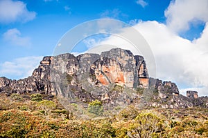 View of the Auyantepui. La Gran Sabana plain at kamarata valley