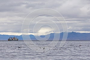 View of the Avacha Bay, Petropavlovsk-Kamchatsky, Russia.