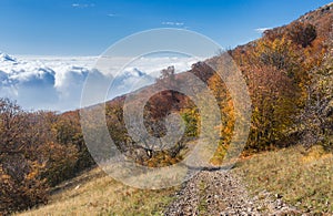 View from Babuhan Yaila natural reserve down to Black Sea