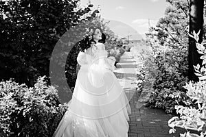 view from the back. a bride running down a path in the park in a wedding dress.