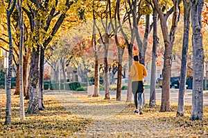 View from the back of man running on the quiet street with autumn trees on both sides