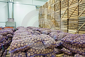 View on bags and crates of potato in storage house