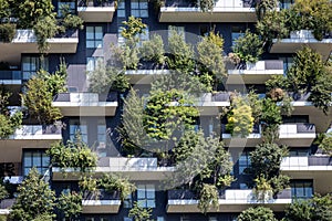 View of the balconies and terraces of Bosco Verticale, full of green plants. Milan. Italy. BAM