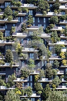 View of the balconies and terraces of Bosco Verticale, full of green plants. Milan. Italy. BAM