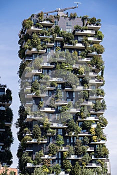 View of the balconies and terraces of Bosco Verticale, full of green plants. Milan. Italy. BAM