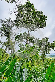 View from the balcony of Sangregado Lodge Hotel room on volcano Arenal and beautiful nature of Costa Rica, La Fortuna