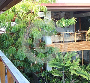 View from Balcony, Terrace overlooking in the Courtyard and a restaurant which has trees and bushes