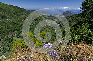 View from BalcÃµes viewpoint with views over the valley of the Ribeira da Metade, Madeira, Portugal