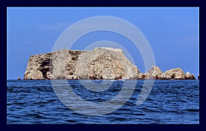 View of the Balestas Islands in the Pacific Ocean 10 - Peru