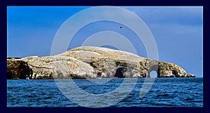 View of the Balestas Islands in the Pacific Ocean 16 - Peru