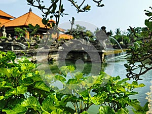 A view on a balinese hindu temple's water feature through green foliage on Bali island in Indonesia