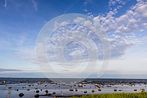 view of Baltic sea coast, Scania region, Sweden