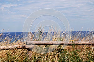 View of the Baltic Sea from the Polish beach, in the foreground a fence made of wooden piles