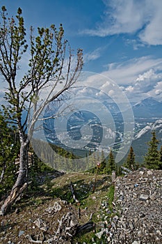 View of Banff  from Sulpher  mountin  Banff national park Alberta Canada