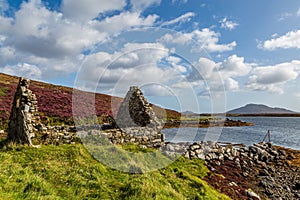 A View from the Bank of Loch Langass on the Hebridean Island of North Uist, with Heather on the Hills and Ruins in the Foreground