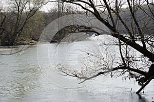 View from the banks of the Oglio river