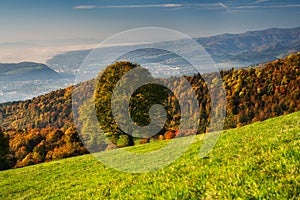 View of Banska Bystrica town from Selciansky diel during autumn