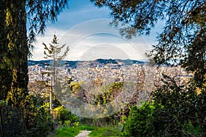 View of Barcelona from a tree tunnel photo