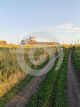 View of barns and road in the field  in summer day