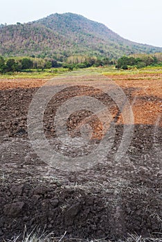 A view of the barren rice field , Thailand