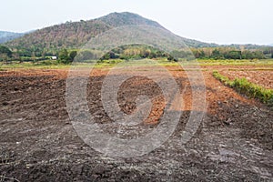 A view of the barren rice field , Thailand