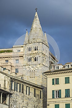 Basilica di Santa Maria delle Vigne in Genoa photo