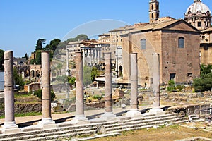 View of Basilica of Maxentius