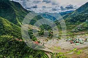 View of Batad Rice Terraces at Luzon island, Philippin