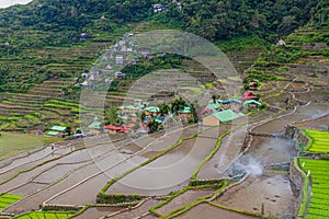 View of Batad rice terraces, Luzon island, Philippin