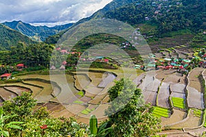 View of Batad rice terraces, Luzon island, Philippin
