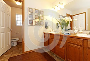 View of the bathroom cabinets and toilet