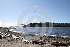 A view of a bay from a beach with driftwood sand and rock