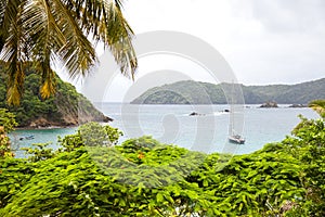 View of the Bay in the Caribbean Island of Tobago Subtropics