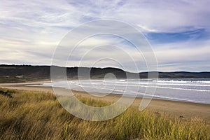 View on the bay of Curio Bay in the Catlins, New Zealand, South Island,