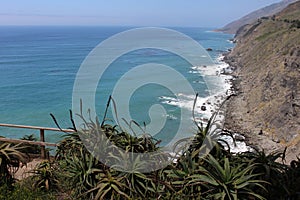 View of Bay with Native Plants