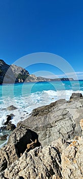 view on a bay with small beach