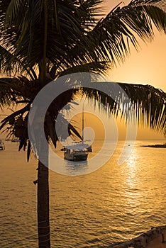 View of the bay at sunset in Bayahibe, La Altagracia, Dominican Republic. Copy space for text. Vertical.