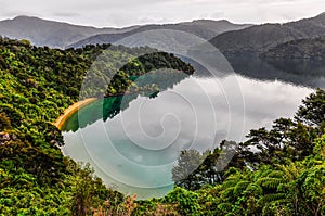 View of bays in Queen Charlotte Road, New Zealand