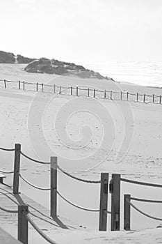 View of a Beach in Black and White