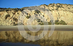 View of beach bluffs in Crystal Cove State Park, Southern California.