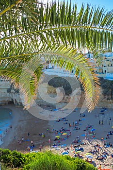 View of the beach in Carvoeiro through the leaves of the date palm