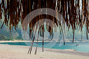 View of the beach and coast through the branches of palm trees. Travel and vacation concept.