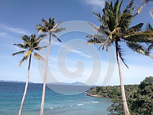 View of the beach with cocounut trees its beautiful