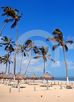 Beach of Cumbuco near Fortaleza, Brazil