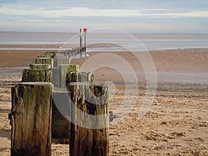 View of beach with dividing groyne at low tide with rad beacon and gulls feeding in the background photo