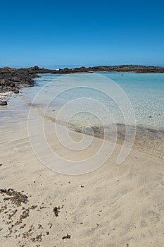 View of a beach with emerald water and dark volcanic rocks in Lobos island Canary islands