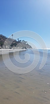 View of beach in Encinitas California