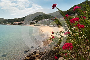 View of beach and flowers of Isla Taboga Panama City