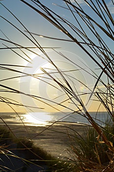 View through beach grass to the sea at sunset