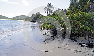 View of the beach of Isla Culebra, Puerto Rico photo